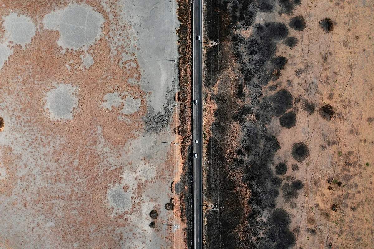 Плесень. Обложка © unsplash.com / Jezael Melgoza