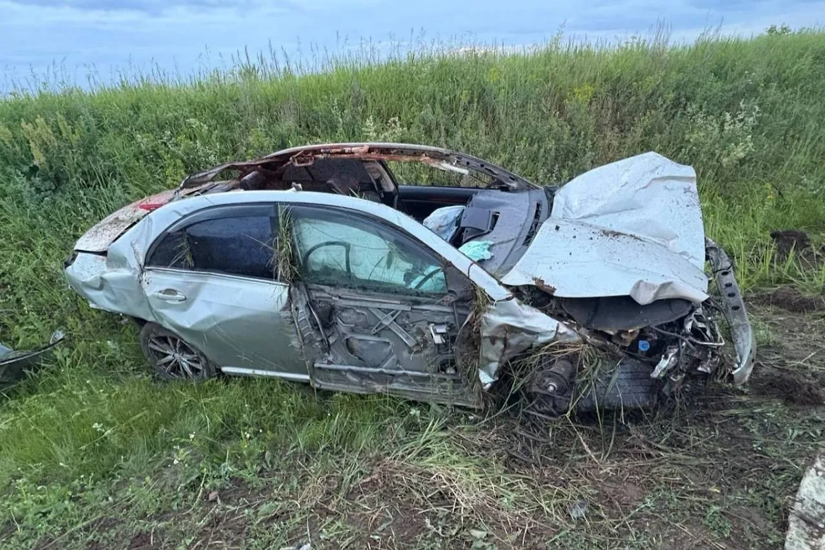 В Удмуртии водитель Toyota Avensis погиб в столкновении с лосем. Обложка © Telegram/ Госавтоинспекция Удмуртии