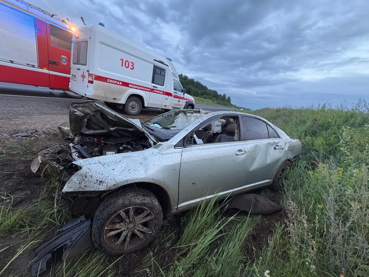 В Удмуртии водитель Toyota Avensis погиб в столкновении с лосем. Фото © Telegram/ Госавтоинспекция Удмуртии