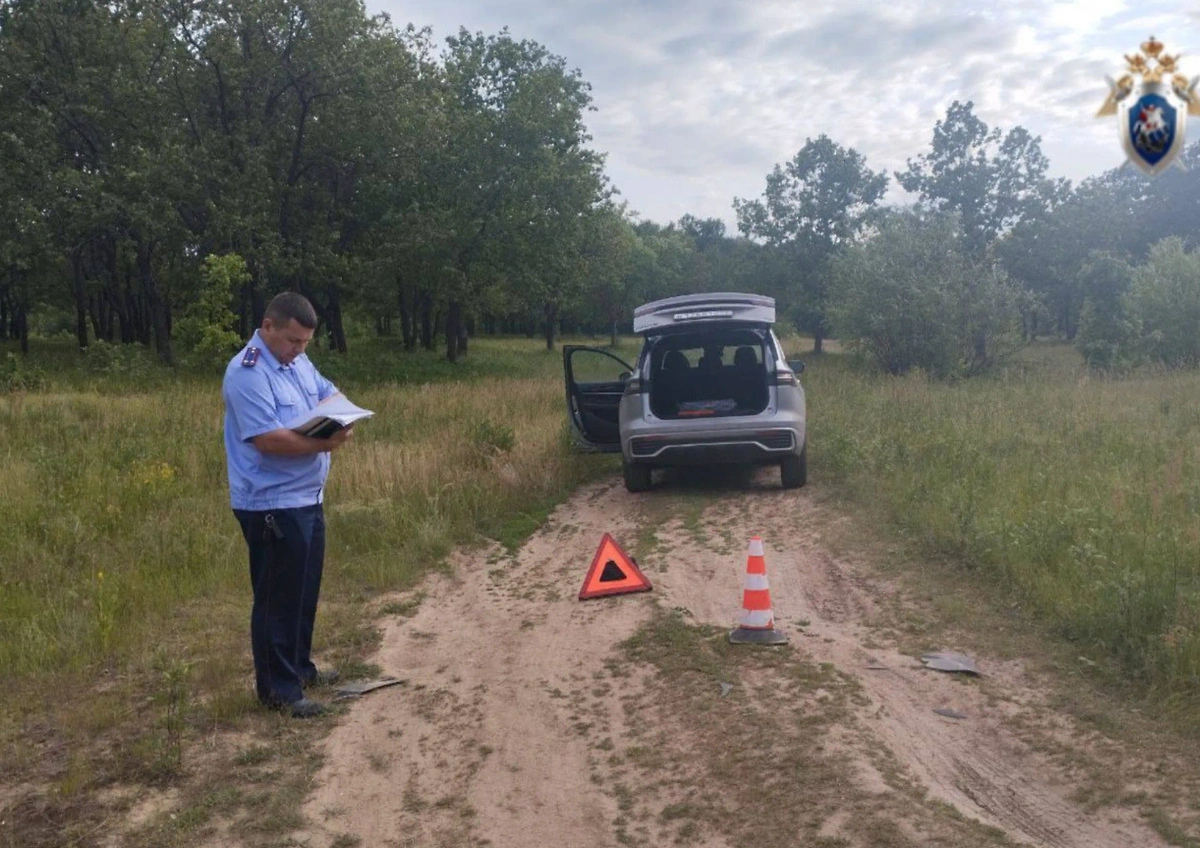 Обложка © Telegram / Нижегородский Следком