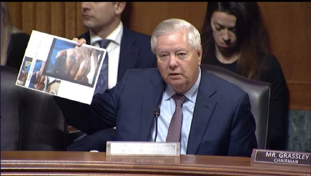 Линдси Грэм*. Обложка © Х / lindseygrahamsc