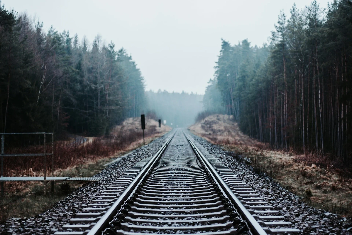 Обложка © Unsplash / Julian Hochgesang
