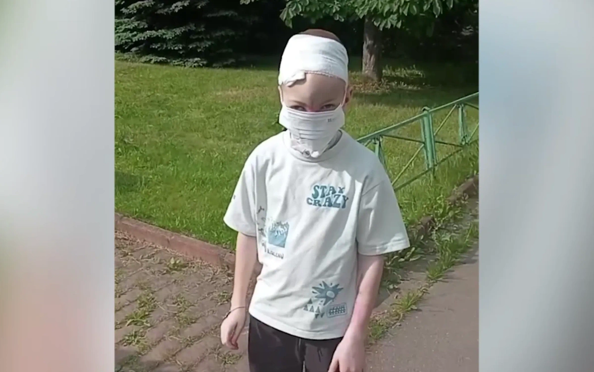 Обложка © Telegram/ Краснодар | Телетайп