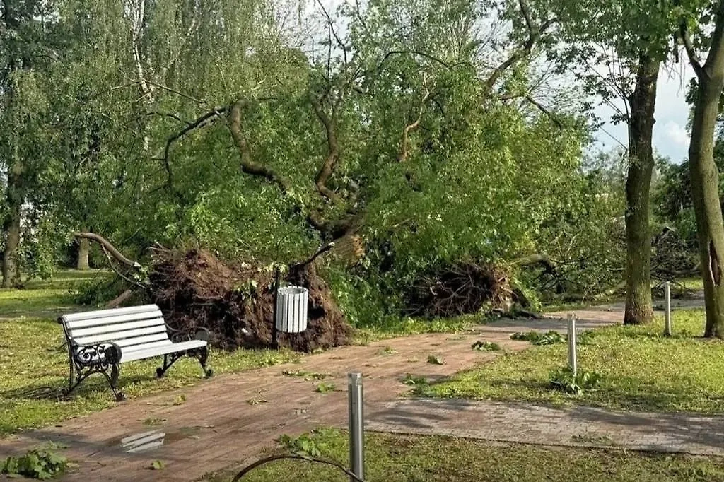 Последствия непогоды в Юрьев-Польском районе Владимирской области. Фото © VK / Антон Беляков
