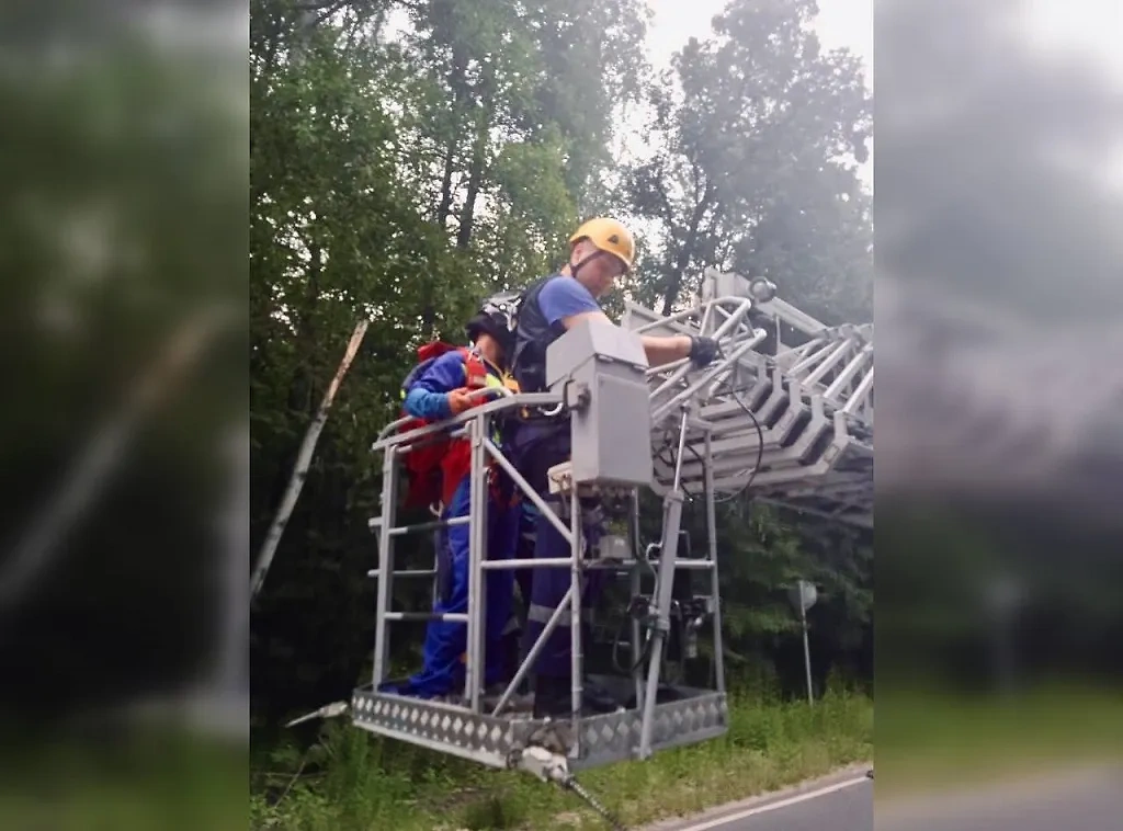 Спасатели спустили экстремала на землю. Обложка © Telegram / ГКУ МО «Мособлпожспас»