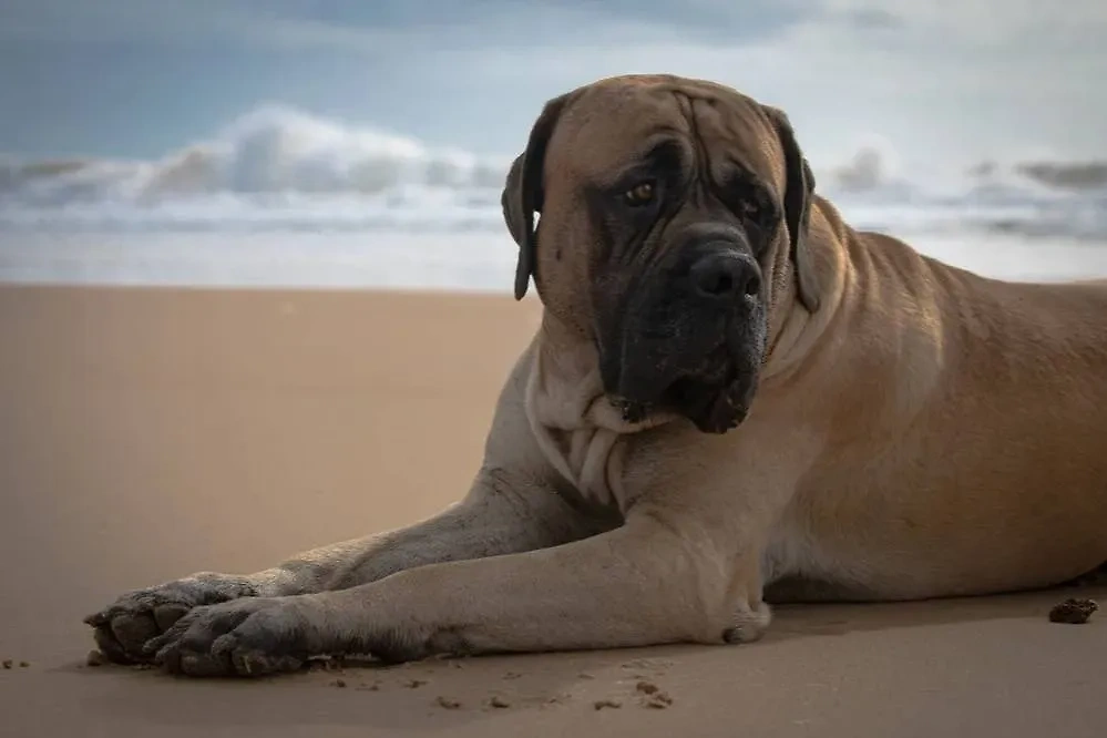 Фото © Shutterstock / FOTODOM / Monica Arauz