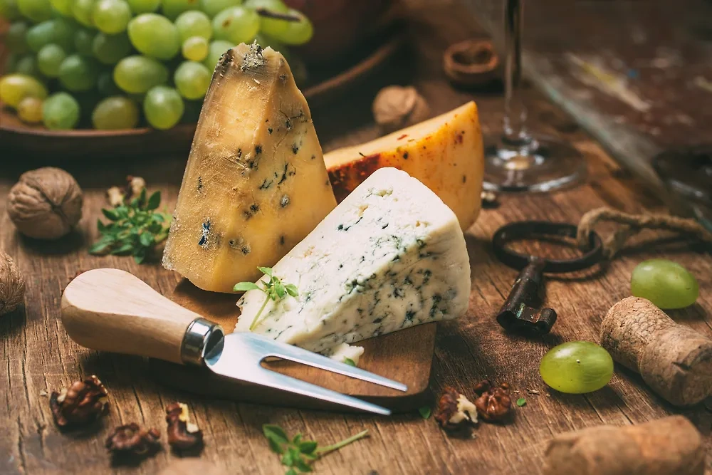 Обложка © Shutterstock / FOTODOM / Valentina_G