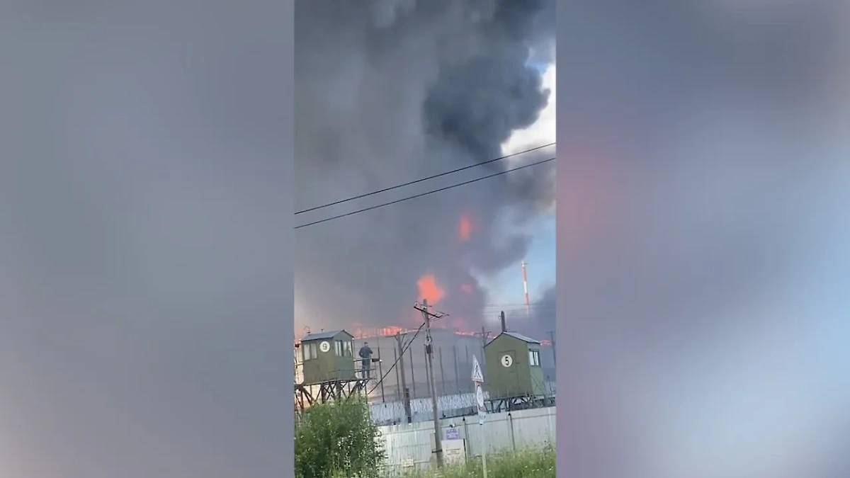 Обложка © SHOT