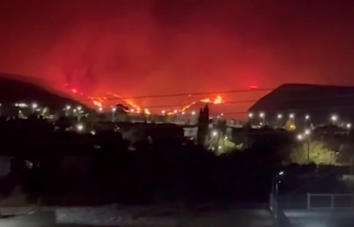 Обложка © Telegram/ SHOT