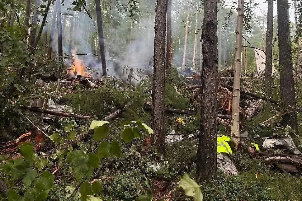 Место крушения Ан-24 в Приамурье. Обложка © Дальневосточная транспортная прокуратура