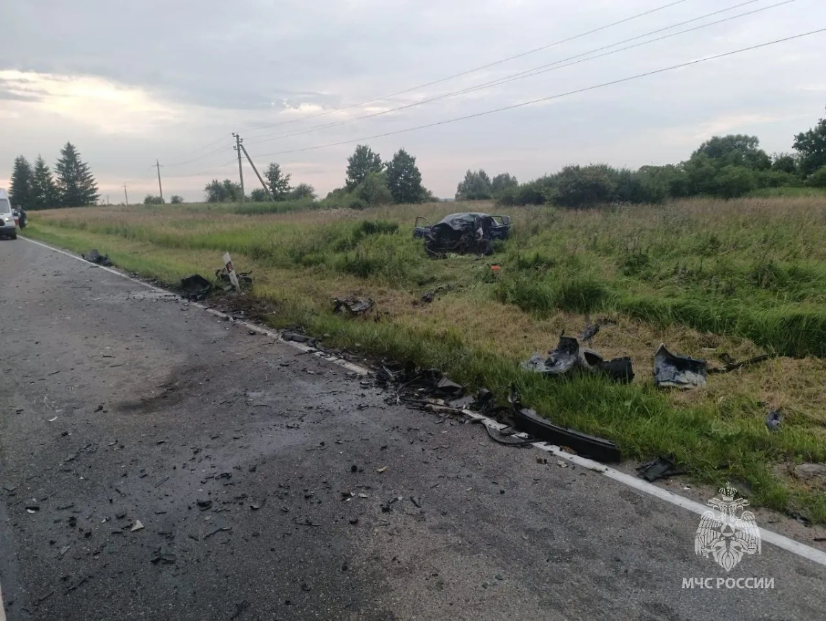 ДТП в Калининградской области. Фото © Telegram / МЧС Калининградской области