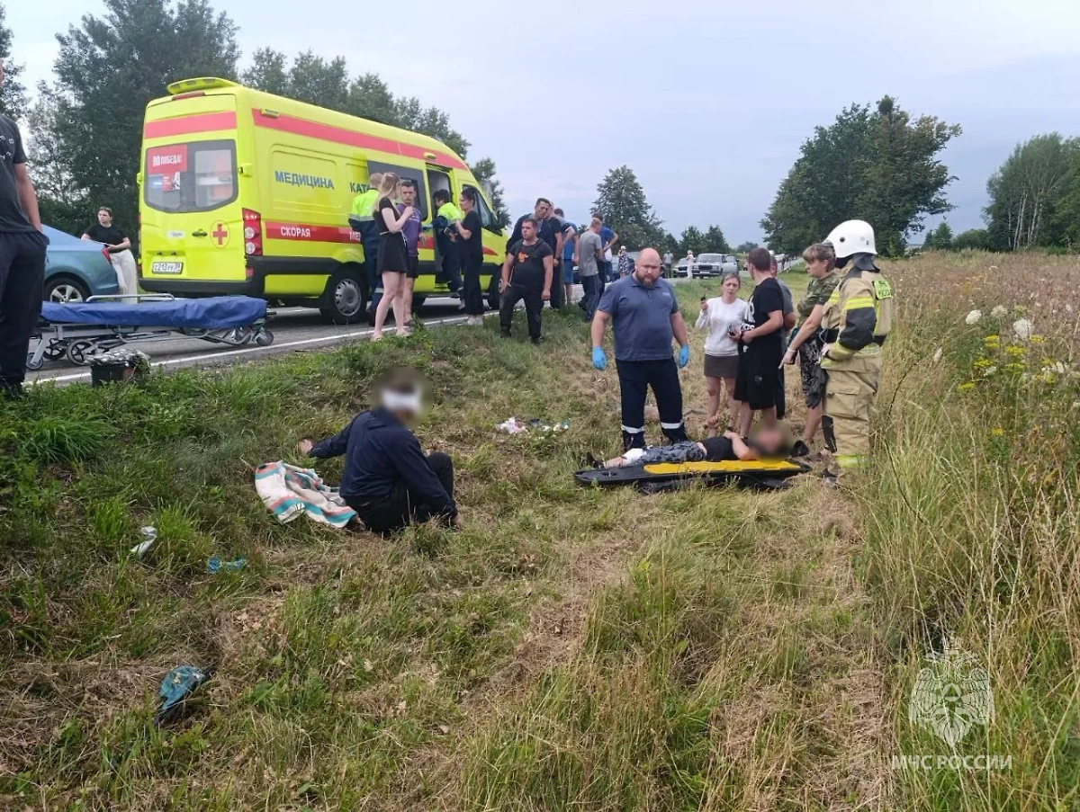 ДТП в Калининградской области. Фото © Telegram / МЧС Калининградской области