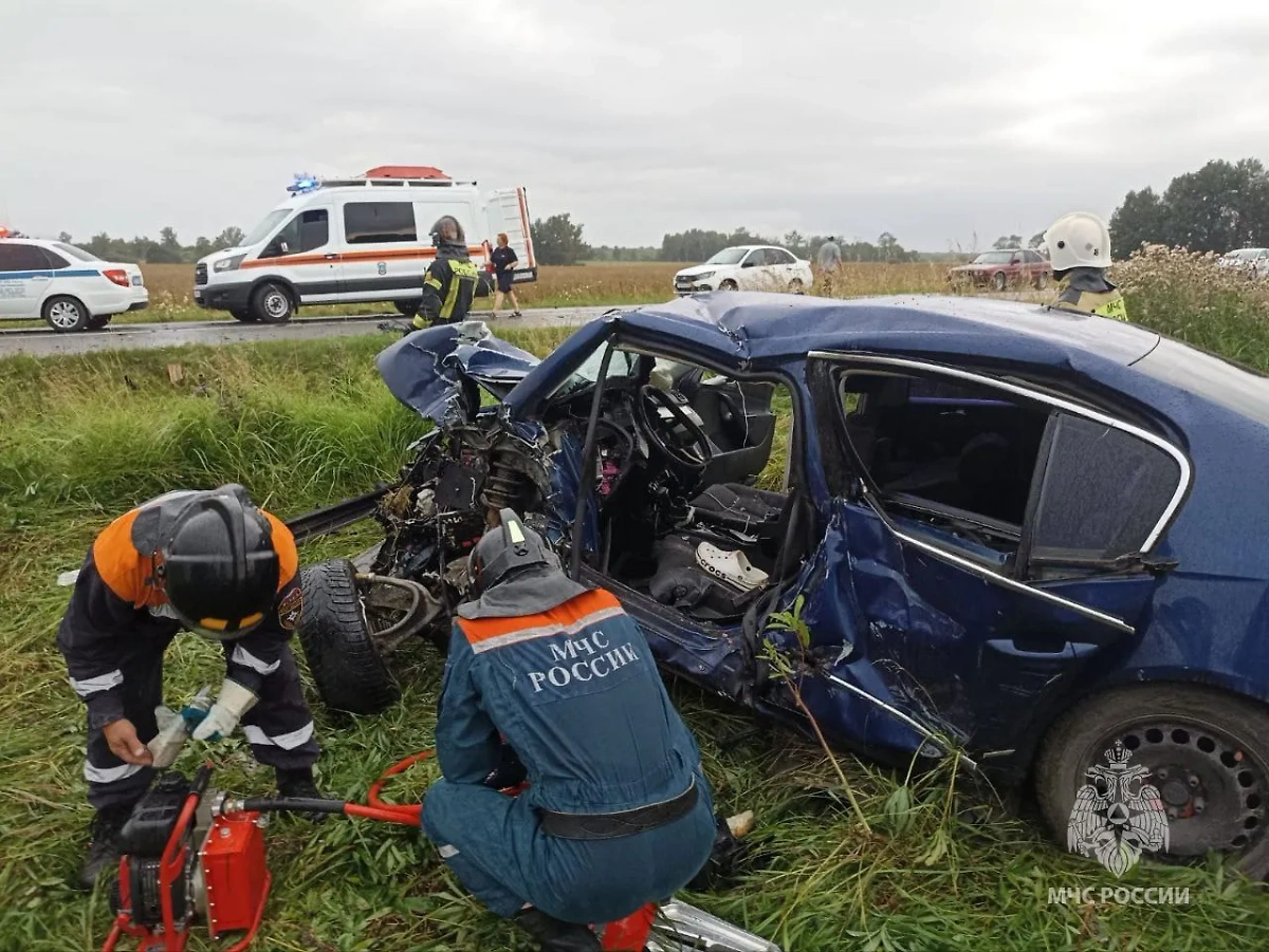 ДТП в Калининградской области. Фото © Telegram / МЧС Калининградской области