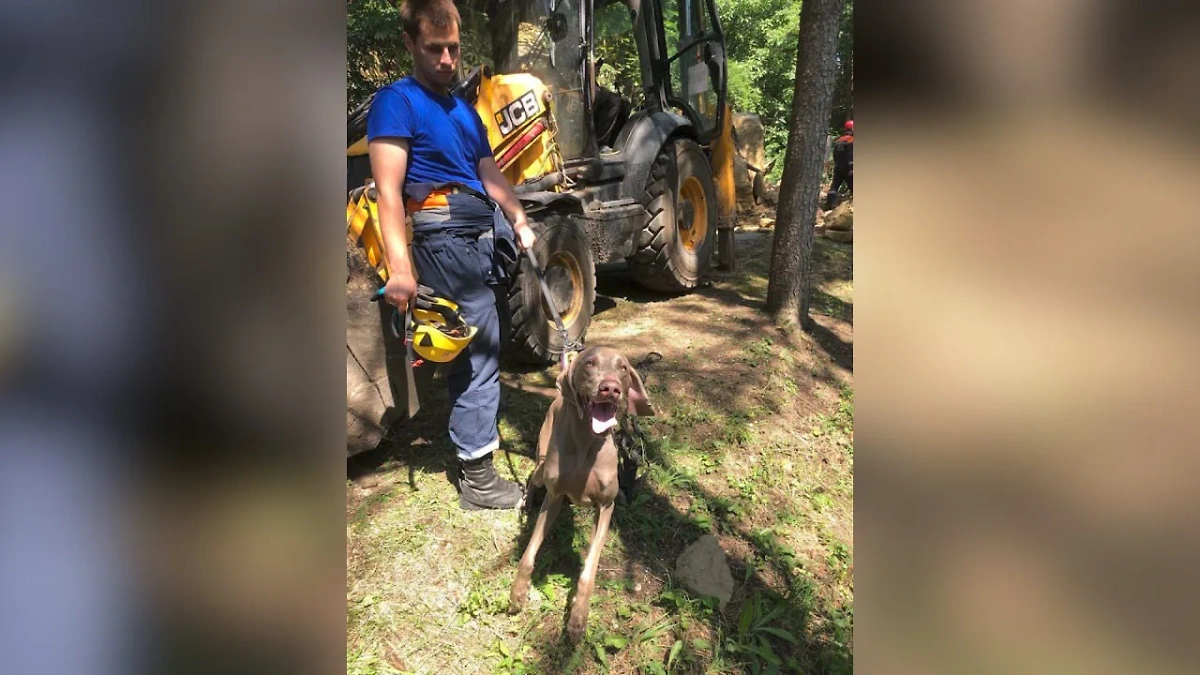 Спасатели приступили к разбору завалов в Кисловодске. Обложка © Telegram / Евгений Моисеев