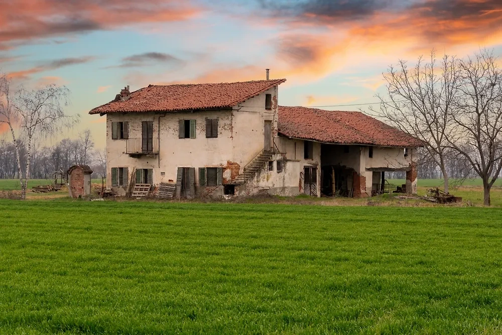 Обложка (иллюстрация) © Shutterstock / FOTODOM / Framarzo 