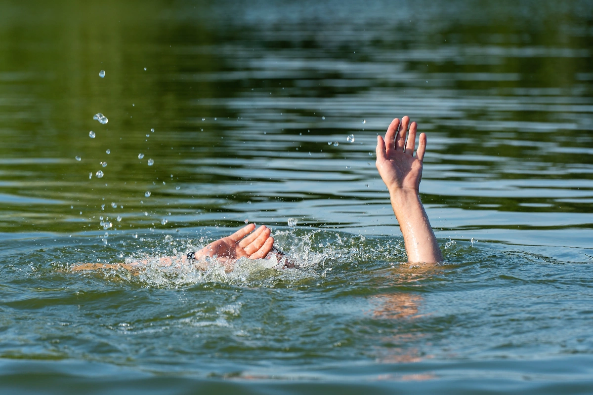 Обложка ©Shutterstock / FOTODOM / Afanasiev Andrii