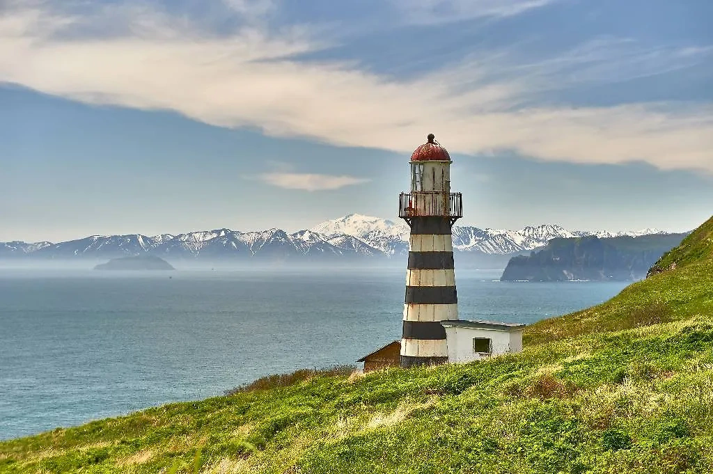 Обложка © Shutterstock / FOTODOM / Alvov