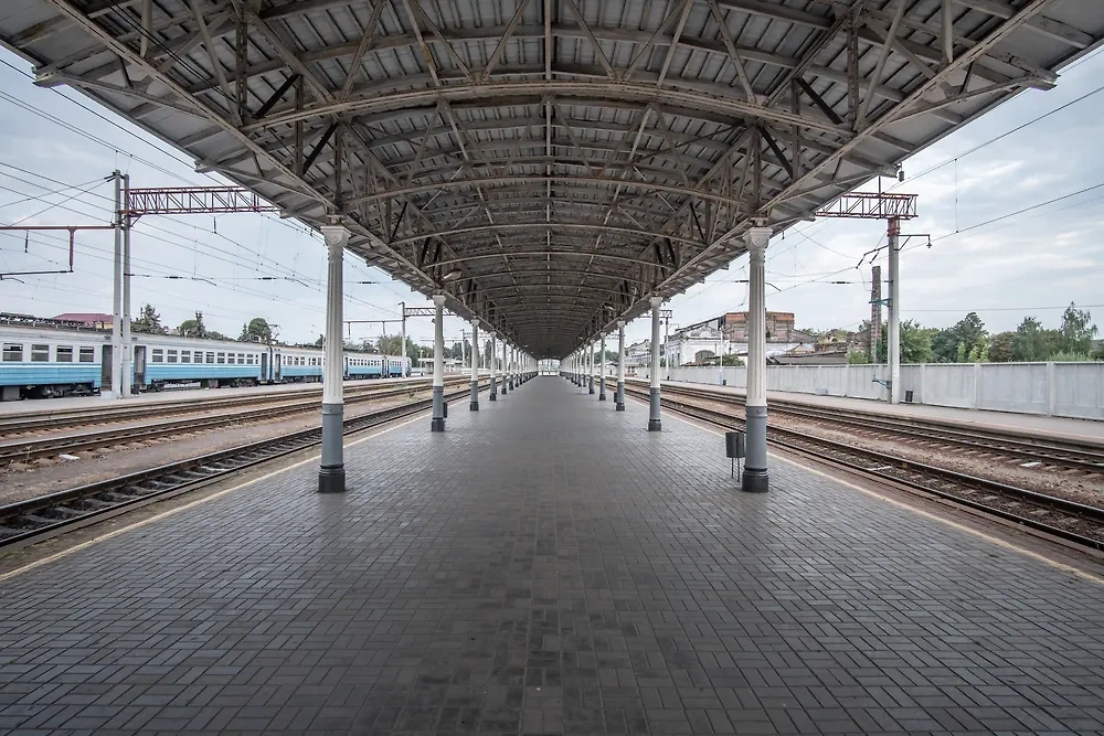 Обложка © Shutterstock / FOTODOM / Dmytro Falkowskyi
