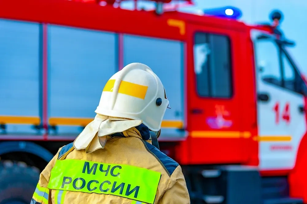 Обложка © Shutterstock / FOTODOM / Evgenii Panov