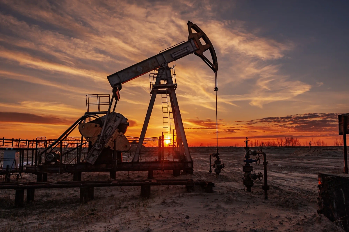 Обложка © Shutterstock / FOTODOM / ded pixto