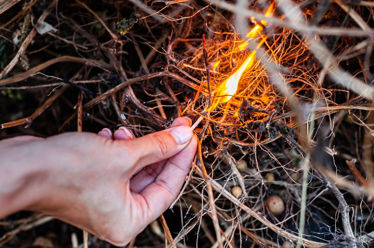 Обложка © Shutterstock / FOTODOM / Oleg Opryshko