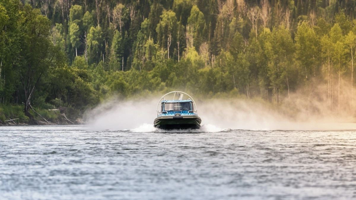 Обложка © Shutterstock / FOTODOM/ Roman Vasilenia 