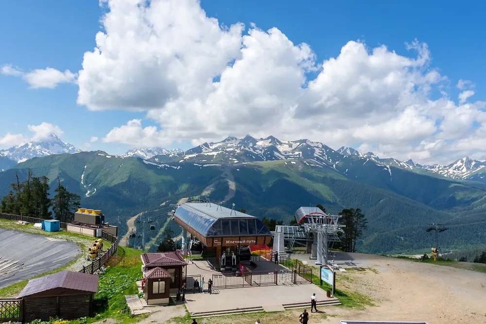 Обложка © Shutterstock / FOTODOM / ILIA BLIZNYUK