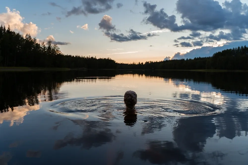 В День Петра и Февронии стоит опасаться рек и озёр. Обложка © Shutterstock / FOTODOM / Katja Lehtinen