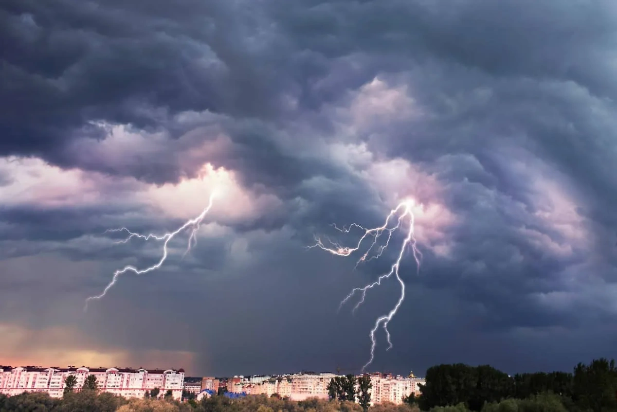 Обложка © Shutterstock / FOTODOM / Roman Mikhailiuk