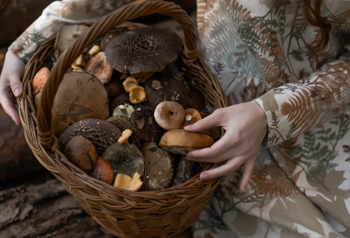 Обложка © freepik / Kireyonok_Yuliya