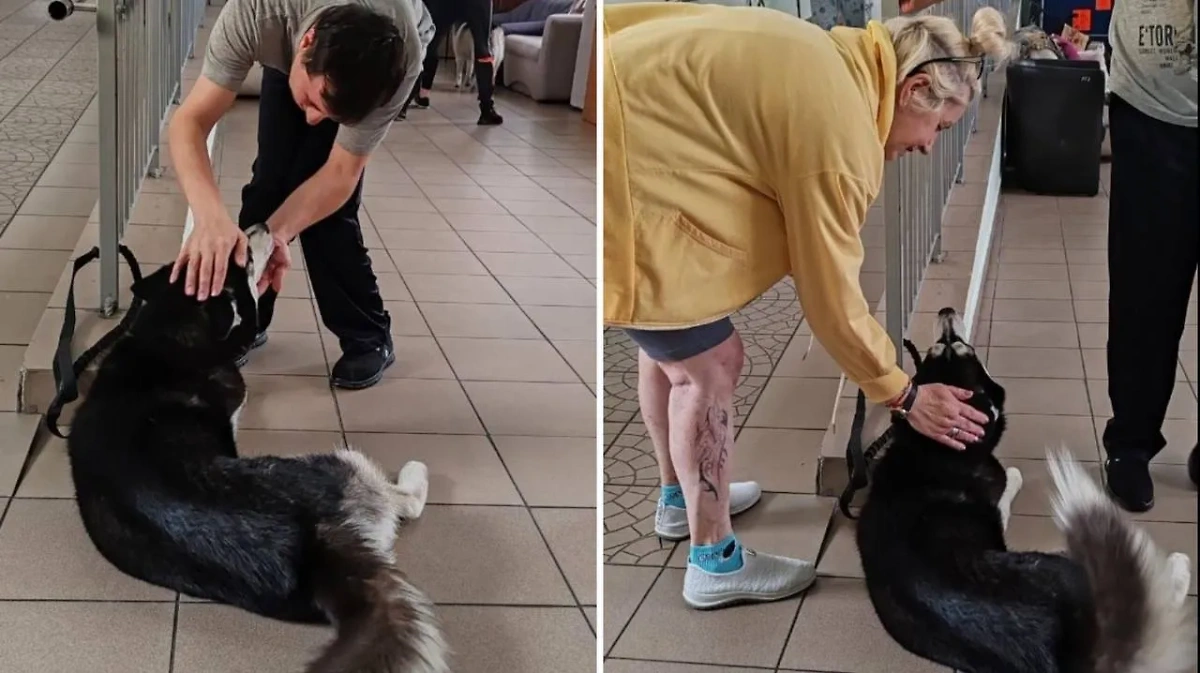 Люди работала в центре для людей с ОВЗ. Фото © VK / «Весёлый дом хаски Центр реабилитации СЕС»