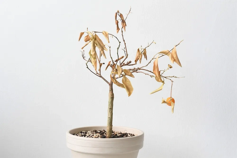 Фото © Shutterstock / FOTODOM / Creative by Nature