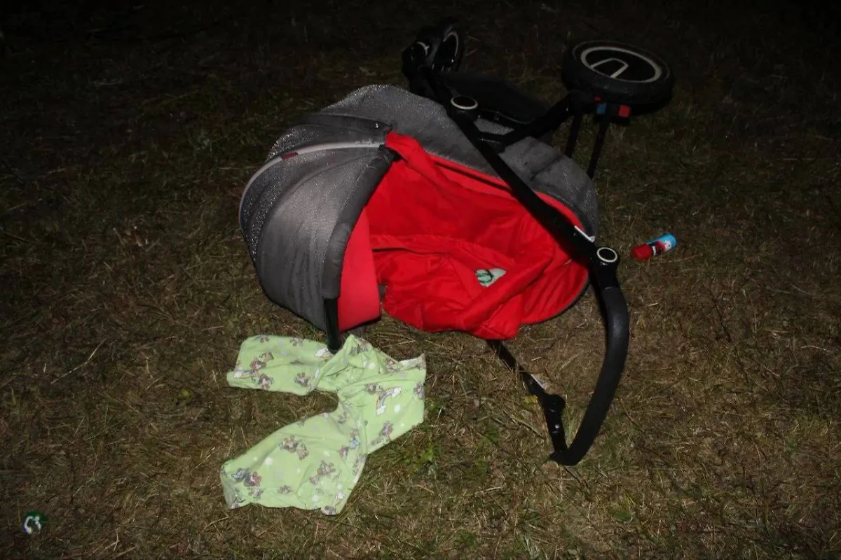 В Красноярском крае пьяный водитель без прав сбил мать с грудным ребёнком в коляске. Фото © Telegram / МВД 24