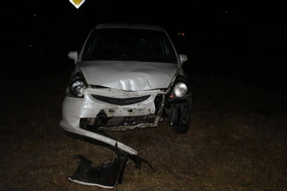 В Красноярском крае пьяный водитель без прав сбил мать с грудным ребёнком в коляске. Фото © Telegram / МВД 24