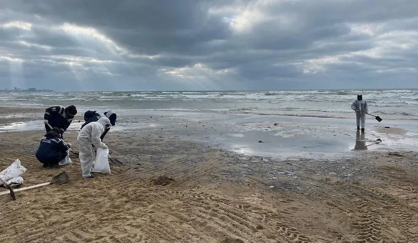 В Краснодарском крае продолжается очистка пляжей от мазута. Фото: © Telegram / Оперативный штаб - Краснодарский край