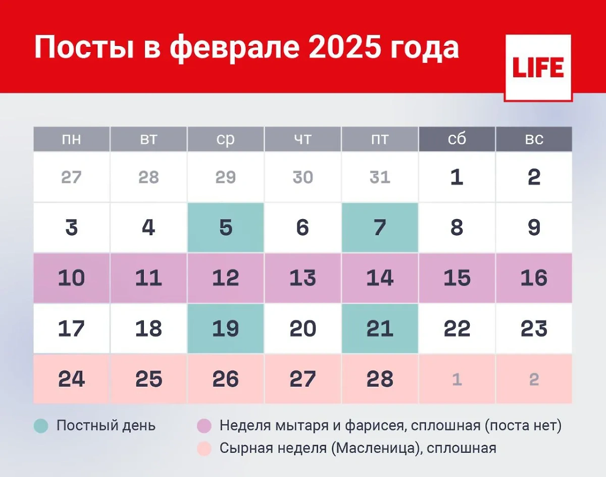 Посты в феврале 2025 года. Инфографика © Life.ru