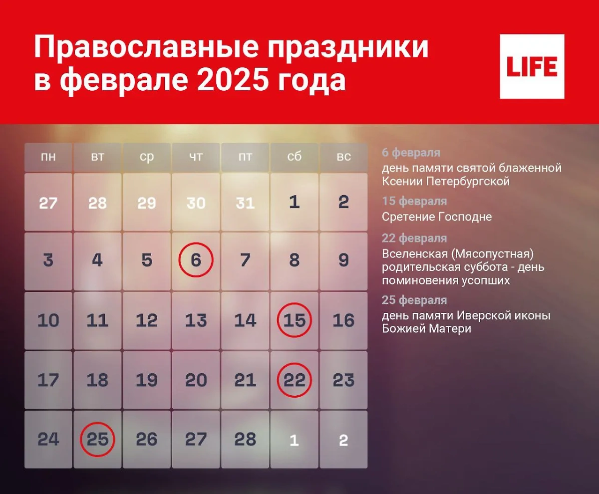 Православные праздники в феврале 2025 года. Инфографика © Life.ru 