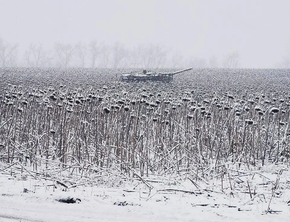 Подбитый немецкий танк Leopard 2A6 в Курской области. Фото © Телеграм / БТГр «Каштан» СпН «Ахмат»| ВЕКТОР