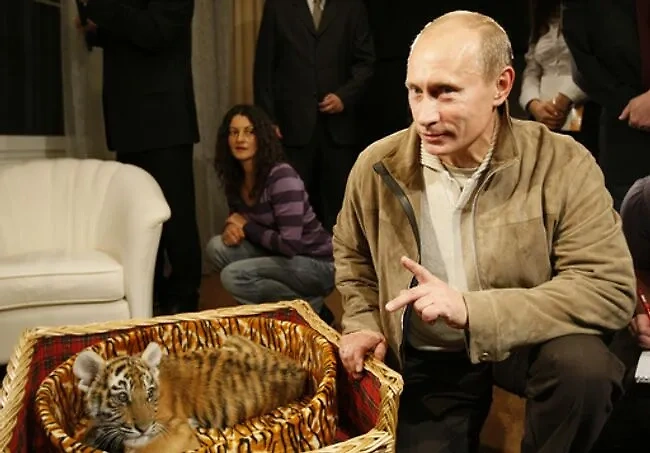 Журналист Life.ru Юнашев собрал список самых примечательных подарков Путину
