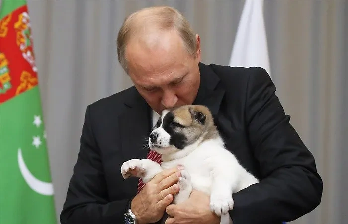 Журналист Life.ru Юнашев собрал список самых примечательных подарков Путину