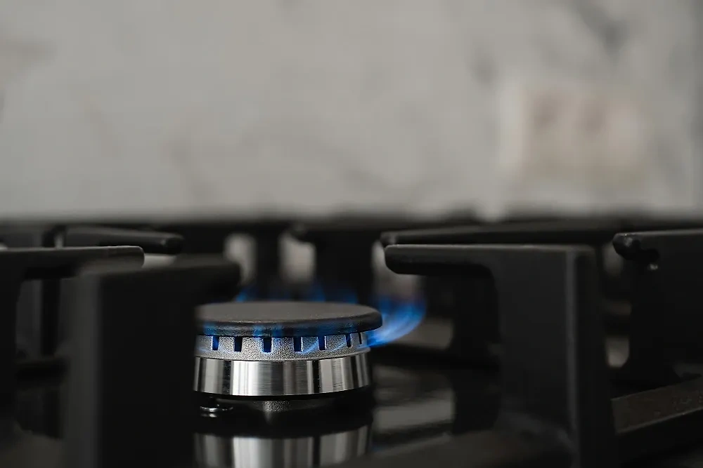 Штраф грозит владельцам старых газовых плит. Обложка © freepik / ededchechine