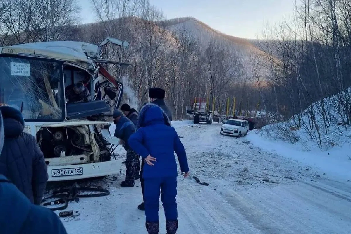Последствия ДТП с автобусом и лесовозом в Приморье. Обложка © УМВД России по Приморскому краю