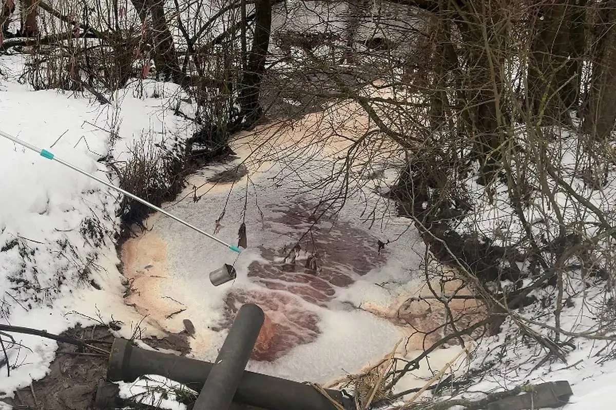 Сброс сточных вод в реку Нейма. Обложка © Росприроднадзор