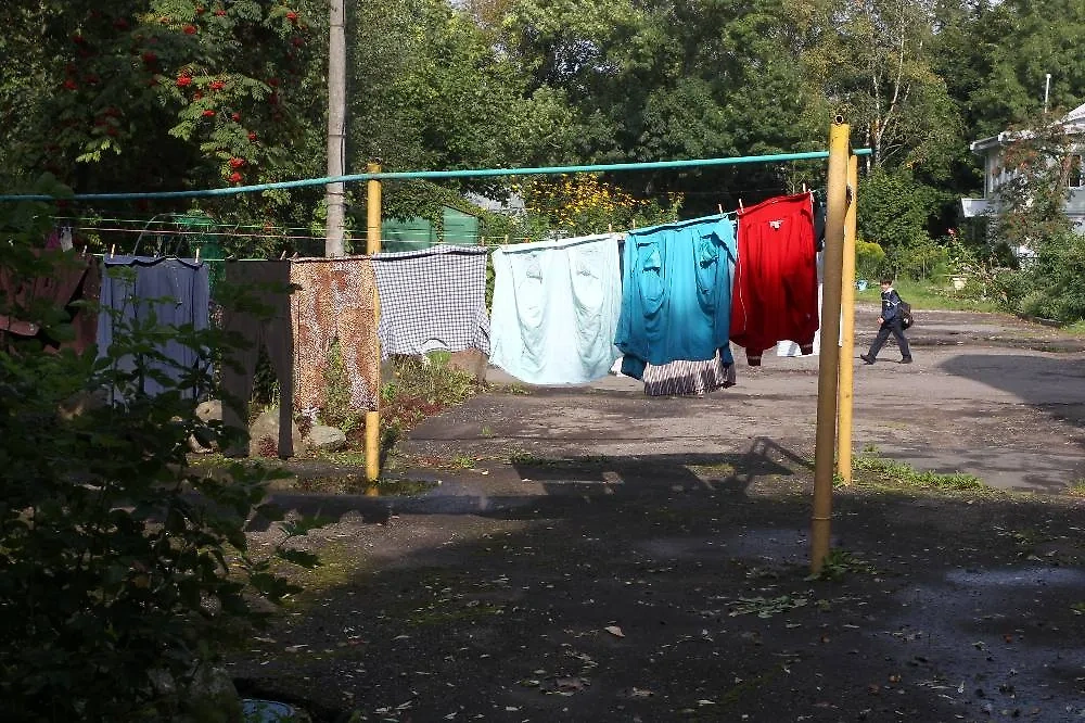 Металлические рамки во дворах, но это не спортивные снаряды — зачем? Фото © ТАСС / Роман Храмовник