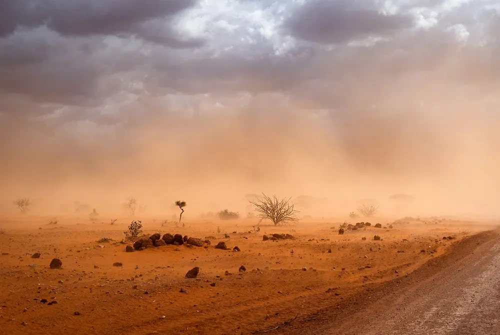 Пангея Ультима — не единственный вариант равития событий. Фото © Shutterstock / FOTODOM / Stanley Dullea