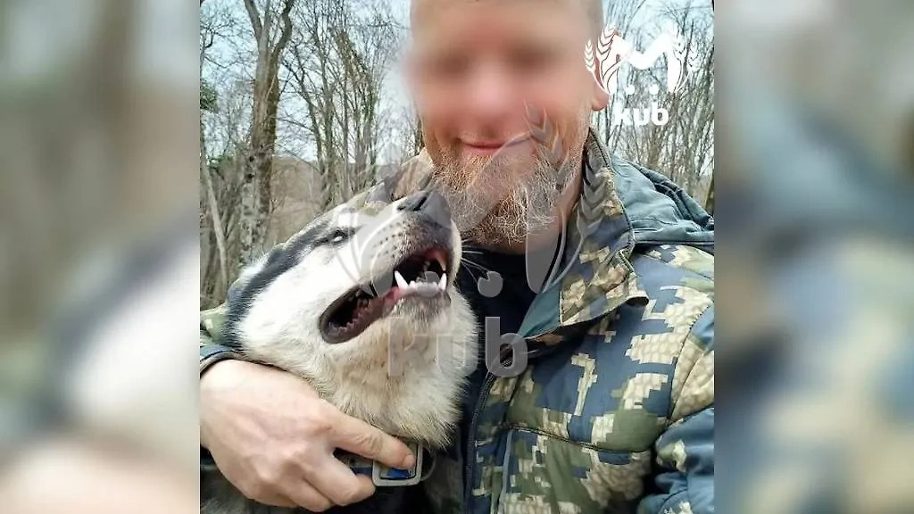 Евгений Цыганов с одним из своих хаски. Обложка © Telegram / Kub Mash