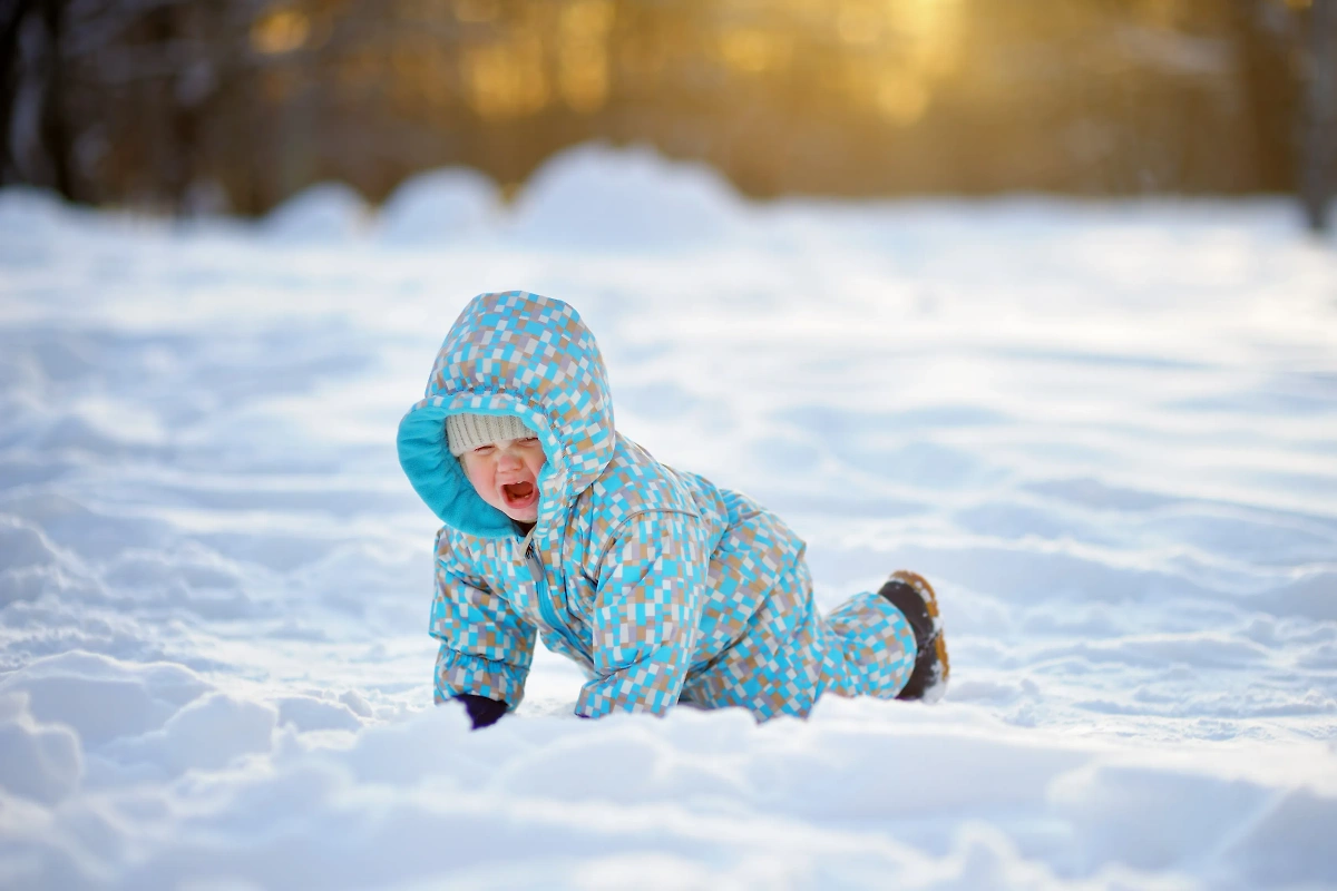 Обложка © Shutterstock / FOTODOM / Maria Sbytova  