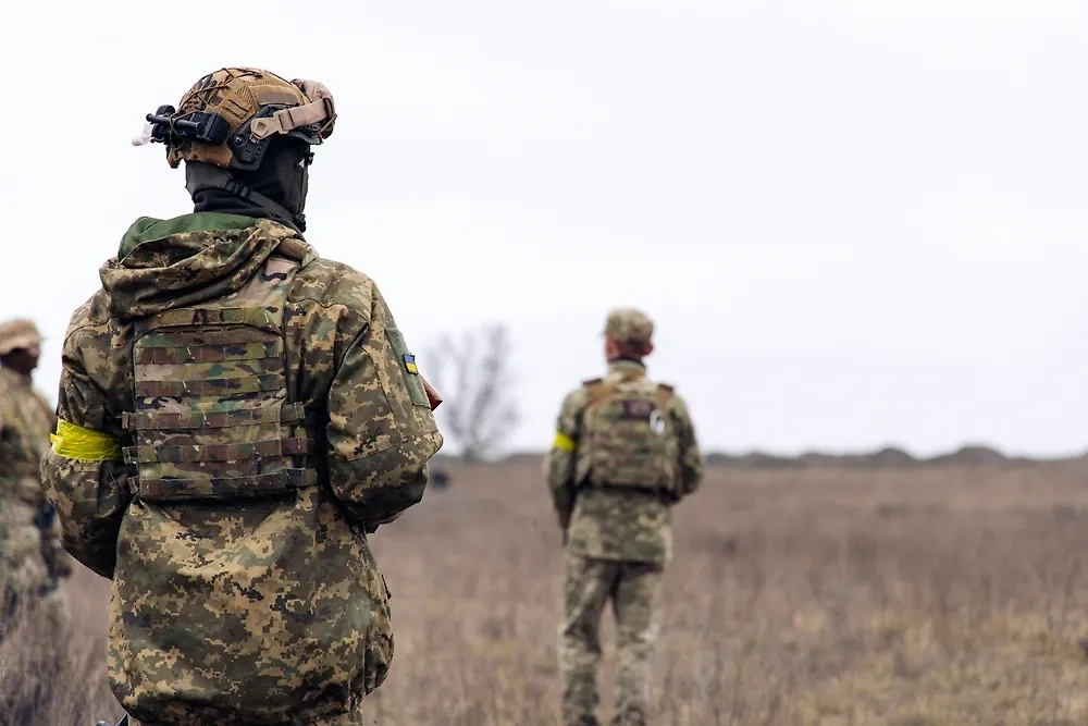Военнослужащие. Обложка © Shutterstock / FOTODOM / Stasia04