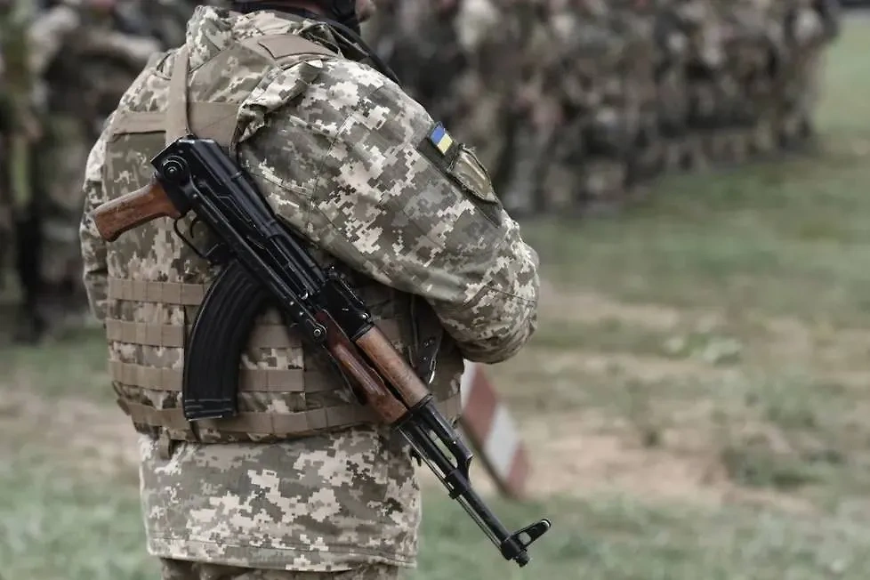 Военнослужащий ВСУ. Обложка © Shutterstock / FOTODOM / Bumble Dee