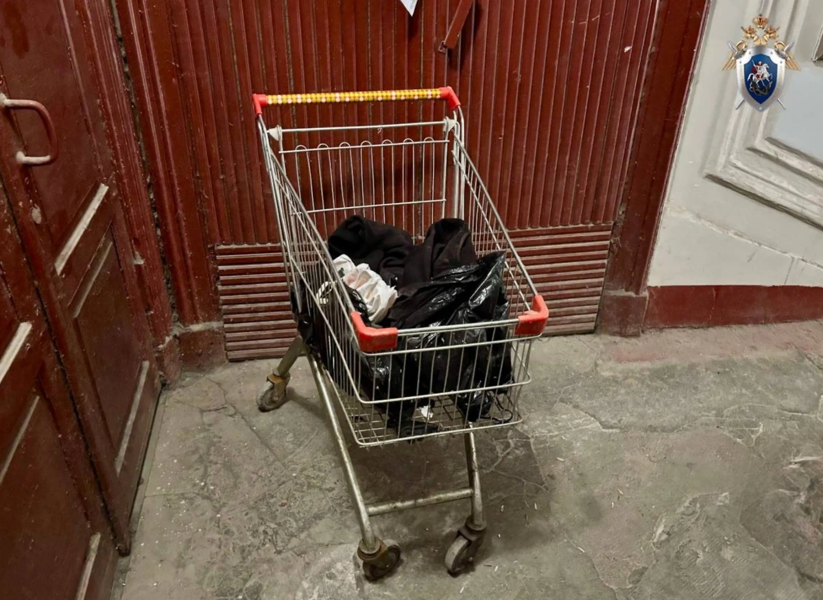 Труп женщины обнаружили в продуктовой тележке пенсионера в Санкт-Петербурге. Видео © Telegram / ГСУ СК России по Санкт-Петербургу
